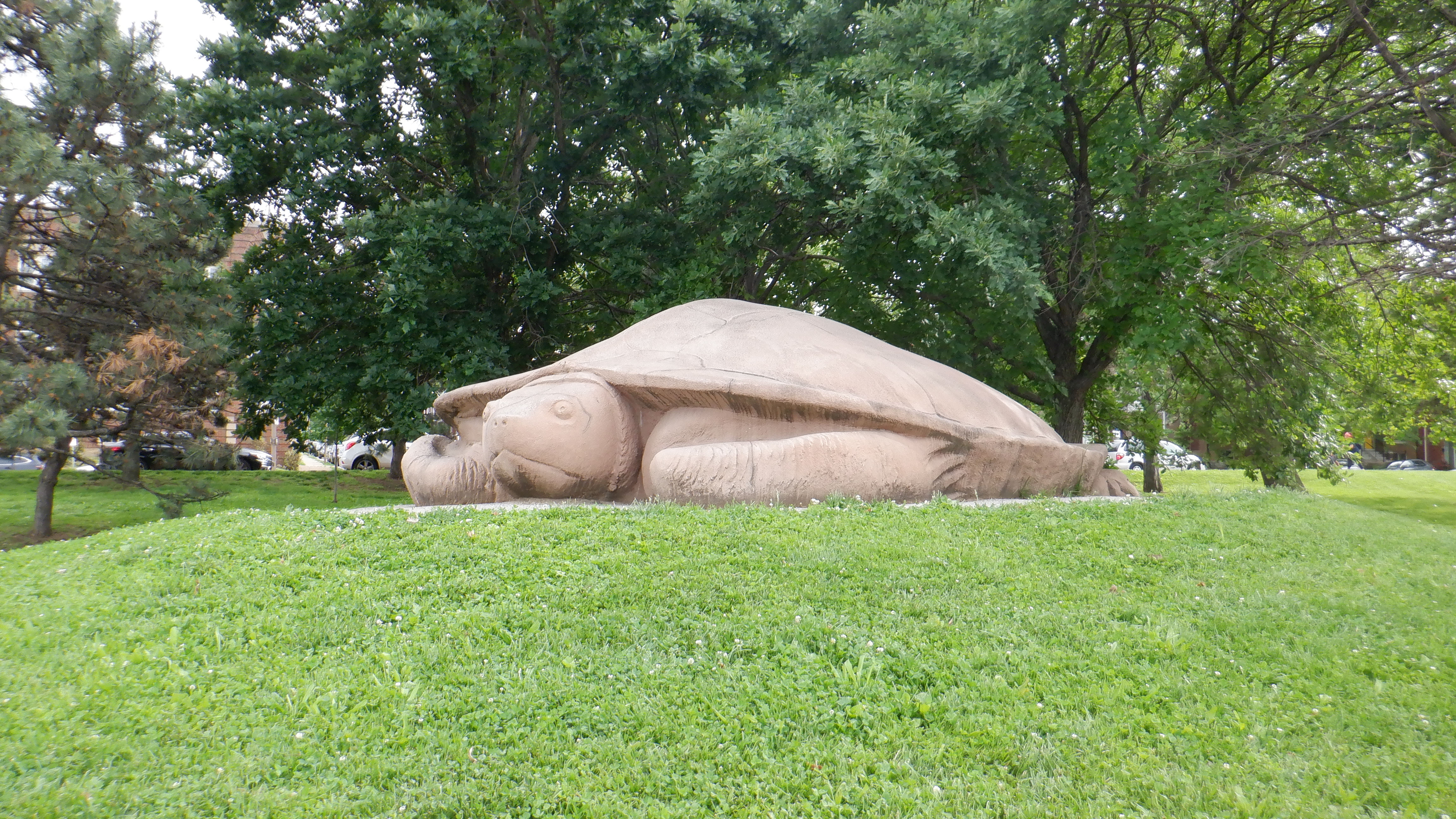 ./2022/06 - St Louis/02 - Day 2/20220522-180553616.JPG